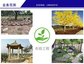 綠化 金碧園綠化 園林設(shè)計(jì)綠化