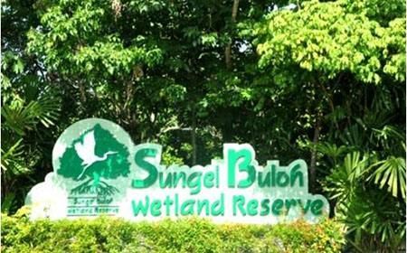 濕地公園如何規(guī)劃 新加坡雙溪布洛濕地公園規(guī)劃設(shè)計案例詳解