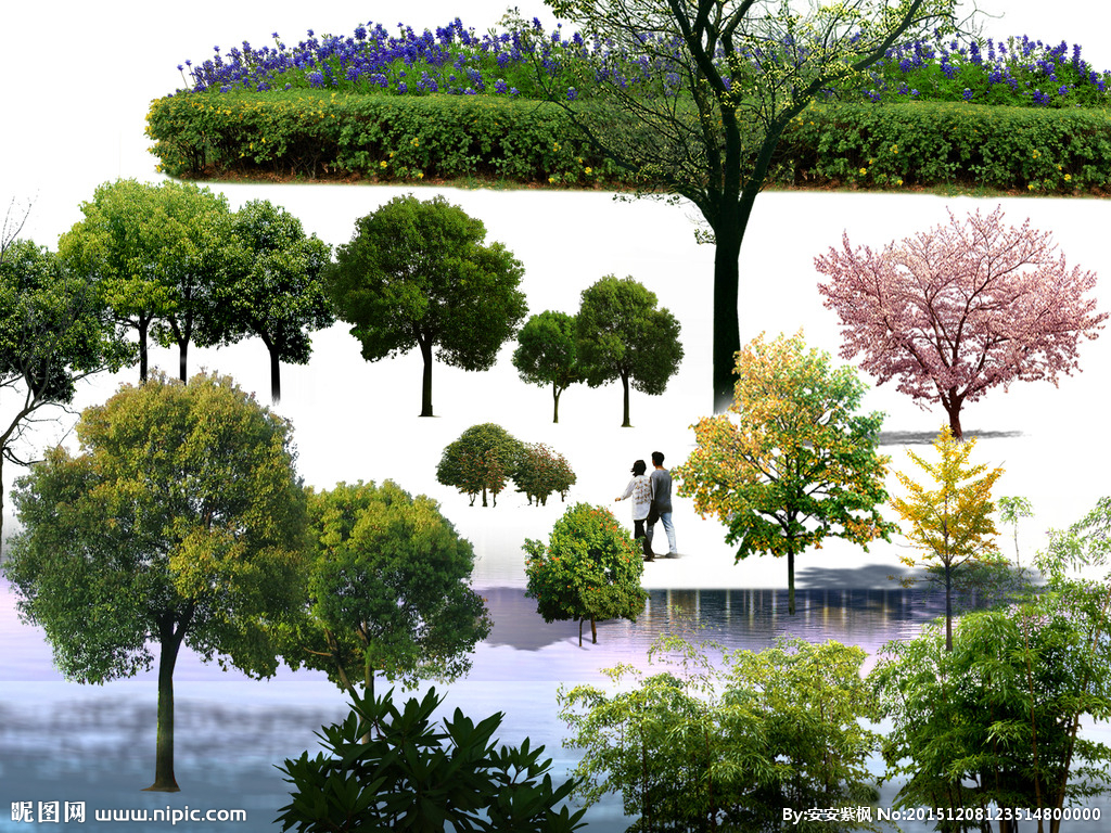 庭院素材與園林設(shè)計(jì)的融合藝術(shù)